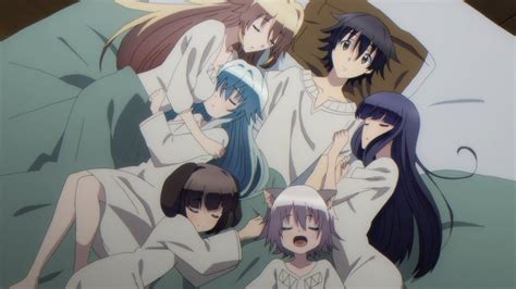the best harem animes that you should be watching right now 2minutesread
