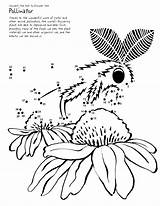 Coloring Pollination Moth Dots Connect Kids Printable Designlooter Complete Worksheet Pollinating Continue Needs Flowers Order Help 6kb sketch template