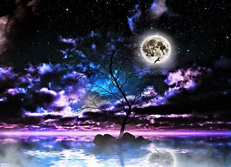 moon light and stars night background with trees nature art images pixhome so amazing in