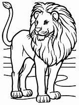 Lion Coloring Pages African Rasta Animals Sheet Face Lions Kids Zoo Printable Color Animal Drawing Book Print Male Tigers Sheets sketch template