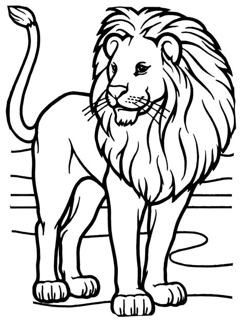 male african lion coloring pages  kids fts printable lions
