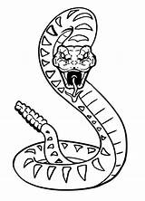 Serpente Colorare Sonagli Disegni sketch template