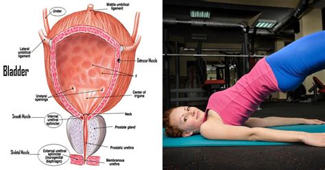 6 Simple Pelvic Strengthening Exercises To Help You