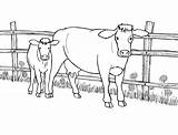 Vaca Bezerro sketch template