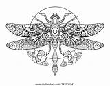 Dragonfly Coloring Adult Vector Adults Book Illustration Pattern Raster Stencil Tattoo Stock Zentangle Stress Anti Preview Style sketch template