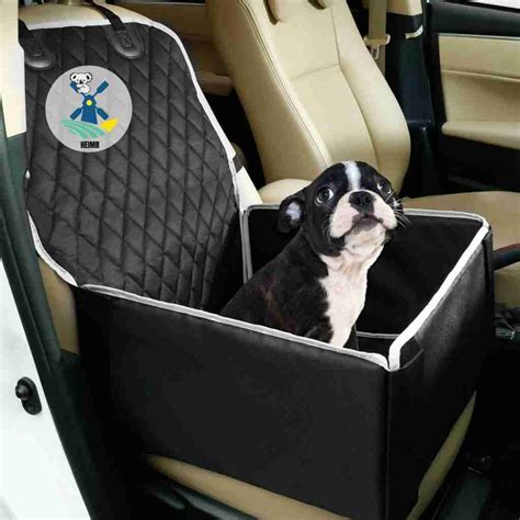hoe vervoer je een hond  de auto beste keuze autostoel