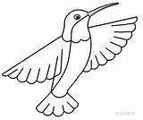 Hummingbird Coloring Pages Printable Ruby Throated Drawing Hummingbirds Template Print Bird Color Kids Colouring Simple Step Cool2bkids Templates Small Getdrawings sketch template