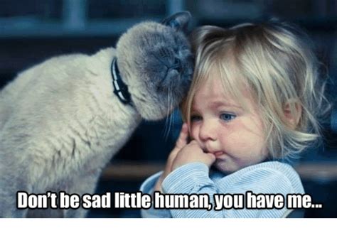 don t be sad little humanyou have me meme on sizzle