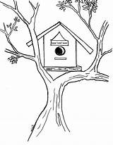 Coloring Pages Bird House Atree sketch template