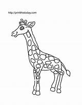 Preschoolers Colouring Giraffes Coloringhome sketch template