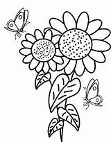 Coloring Sunflower Pages Butterflies Surrounded Butterfly Girls Flowers Sunflowers Coloringpagesfortoddlers Beautiful Choose Board sketch template