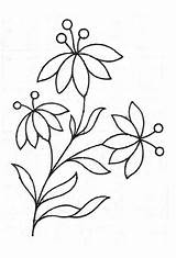 Flower Tracing Pattern Coloring Popular sketch template