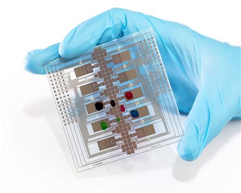 lab   chip test   prevent disease outbreaks  remote