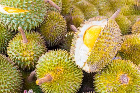durian fruit health benefits nutrition facts and side effects