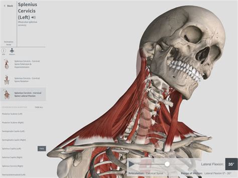 anatomy textbooks  officially obsolete  rise   interactive