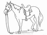 Cai Colorat Planse Desene Fise Horses sketch template