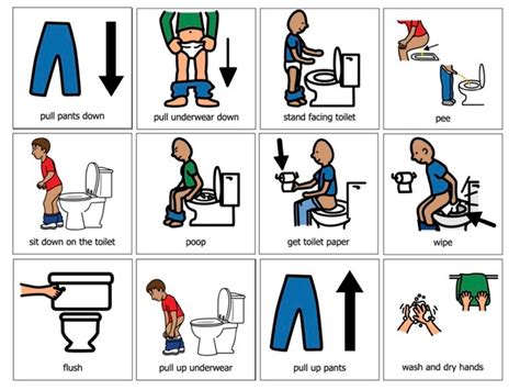 visual bathroom potty training toilet  boys autism etsy  zealand