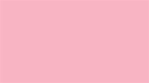 light pink solid color background    vector image