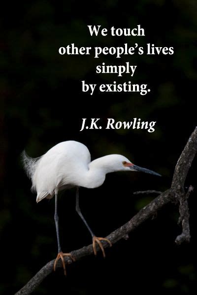 “we touch other people s lives simply by existing ” j k rowling on image of snowy egret in