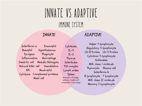 solved adaptive immunity modeling video instructions