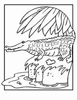 Coloring Crocodile Popular sketch template