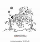 Fish Pages Coloring Fighting Siamese Betta Template Zentangle Book sketch template