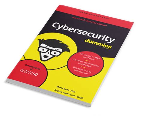 cybersecurity  dummies book awarego