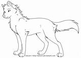 Coloring Pages Wolf Realistic Print Wolves Popular sketch template