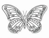 Butterfly Coloring Pages Kids Monarch Flowers Beautiful Pretty Drawing Flower Print Adults Drawings Book Printable Butterflies Color Impressive Nice Heart sketch template