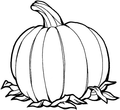 squash coloring pages coloring home