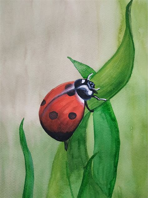 ladybug painting watercolor original art   tatianaartshop