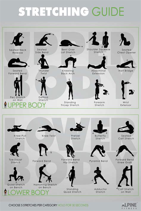 stretching guide poster alpine fitness