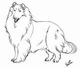 Coloring Collie Border Rough Lineart Pages Lassie Use Template Printable Drawings Pay Sketch Designlooter 4kb 678px Deviantart sketch template