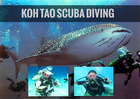 Koh Tao Diving Useful Tips To Get Your Scuba Licence Now Keep Calm