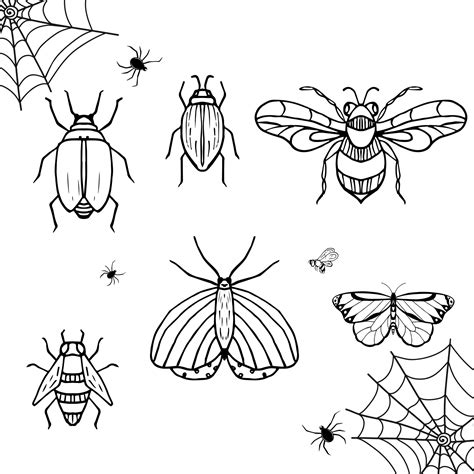 insects sketch butterfly bee spider bug hand drawn vector