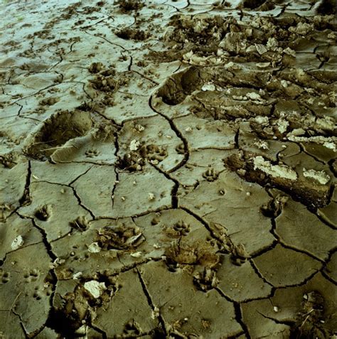 slideshow   photographs  adrian pinckard mud