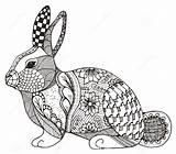 Zentangle Rabbit Coloring Pages Vector Conejo Illustration Animal Zen Stock Pattern Stylized Abstract Bunny Hand Ornate Freehand Drawn Pencil Colouring sketch template