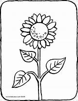 Sonnenblume Ausmalbild Bunga Matahari Mewarnai Ausmalbilder Sonnenblumen Malen Adults Menggambar Symmetry Pngwing sketch template