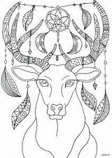 Deers Venados Cervi Dreamcatcher Rehe Adultos Adulti Erwachsene Malbuch Justcolor sketch template