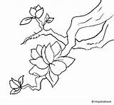 Almond Flower Coloring Coloringcrew sketch template