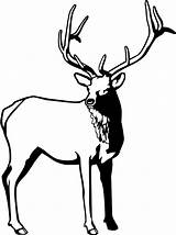 Elk Drawing Line Clipartmag Coloring sketch template