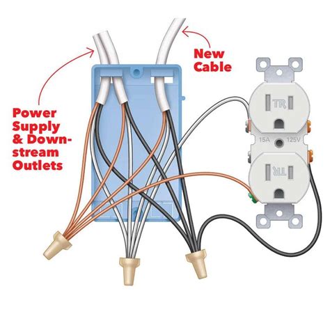 wiring diagram outlet mollie wiring