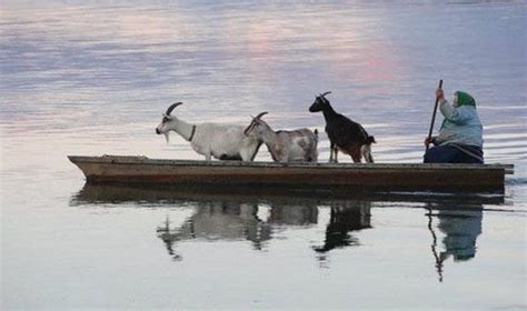 fun  unusual boats   hit  water