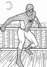Coloring Pages Spiderman Boys Kids Colouring Color Teenagers Training Shopping Children Books Preschool Print Summer Coloringsun Bestappsforkids Seaside sketch template