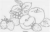 Frutas Tecido Riscos Legumes Fruta Verduras Bordar Pesquisa Artes sketch template