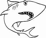 Coloring Shark Tiger Pages Popular sketch template
