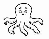 Octopus Coloring Coloringcrew sketch template