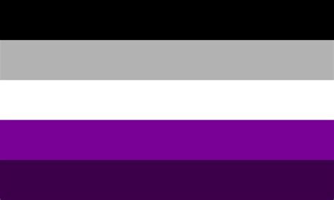 Gray Asexual 1 By Pride Flags On Deviantart
