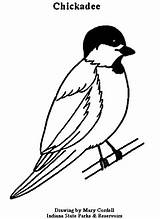 Coloring Chickadee Drawing Pages Indiana Line Capped Dnr Getdrawings Getcolorings sketch template