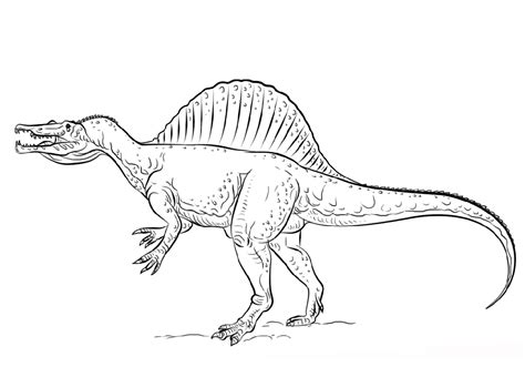 spinosaurus coloring pages  print image coloriage coloriage porn